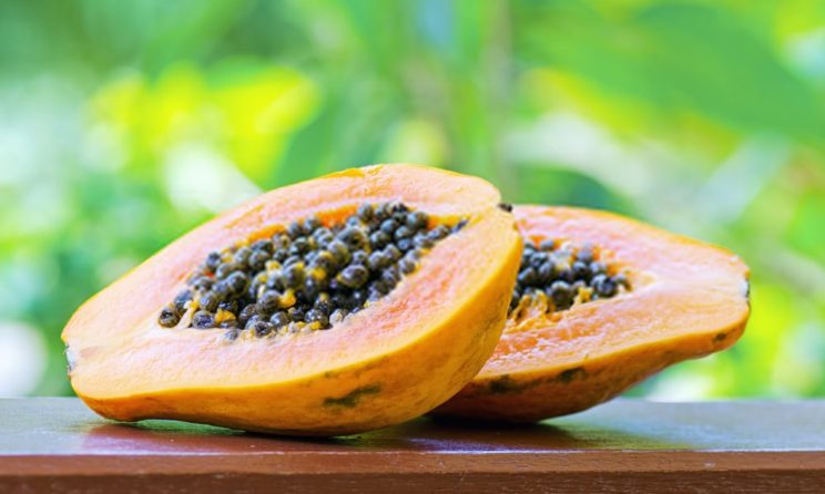 Super 13 Reasons Why Papaya can Buddy of your Health