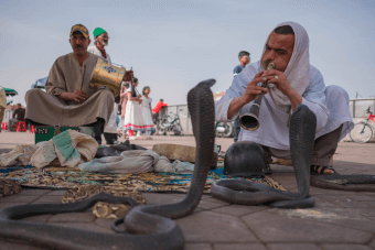 Jemaa el-Fnaa